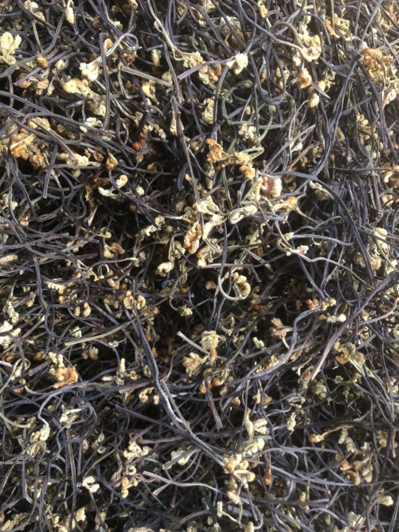 23年云南丘北县蕨菜干