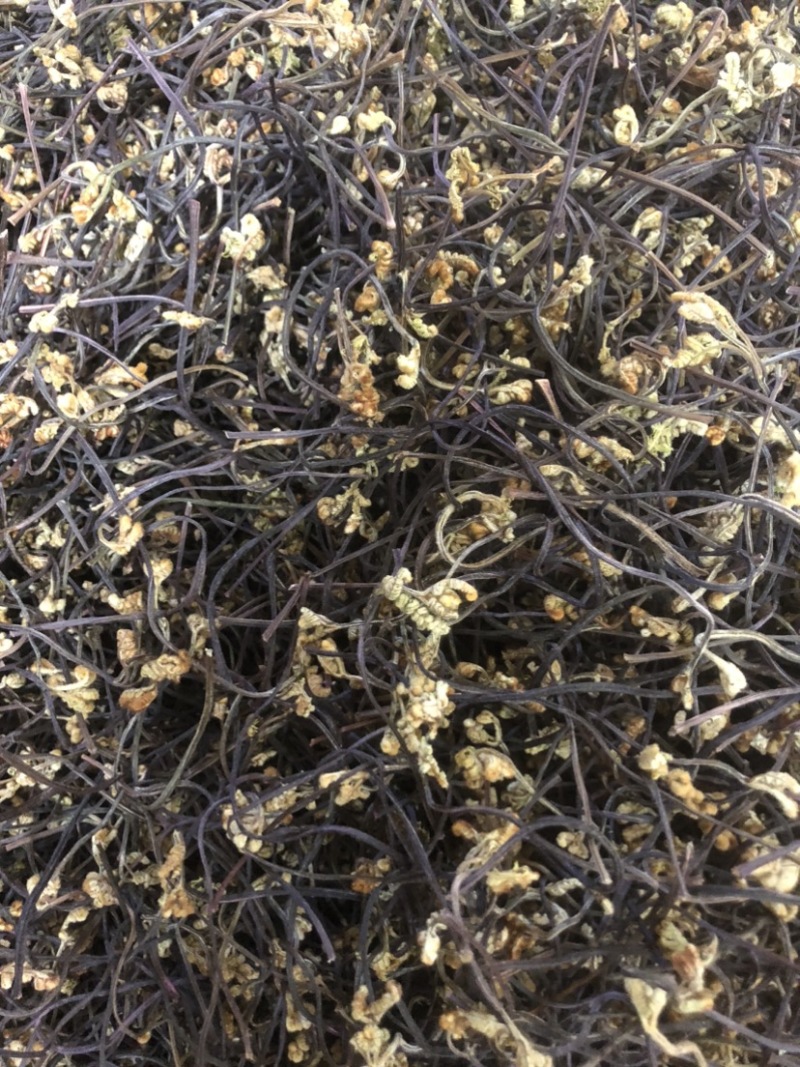23年云南丘北县蕨菜干