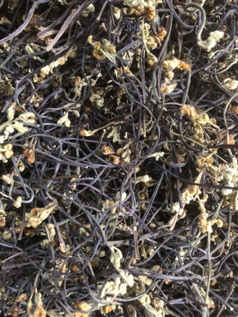 23年云南丘北县蕨菜干