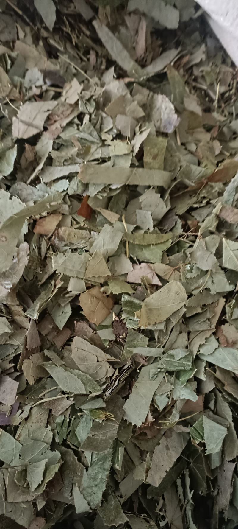 淫羊藿，产地甘肃，大货供应，全国发货欢迎各位选购