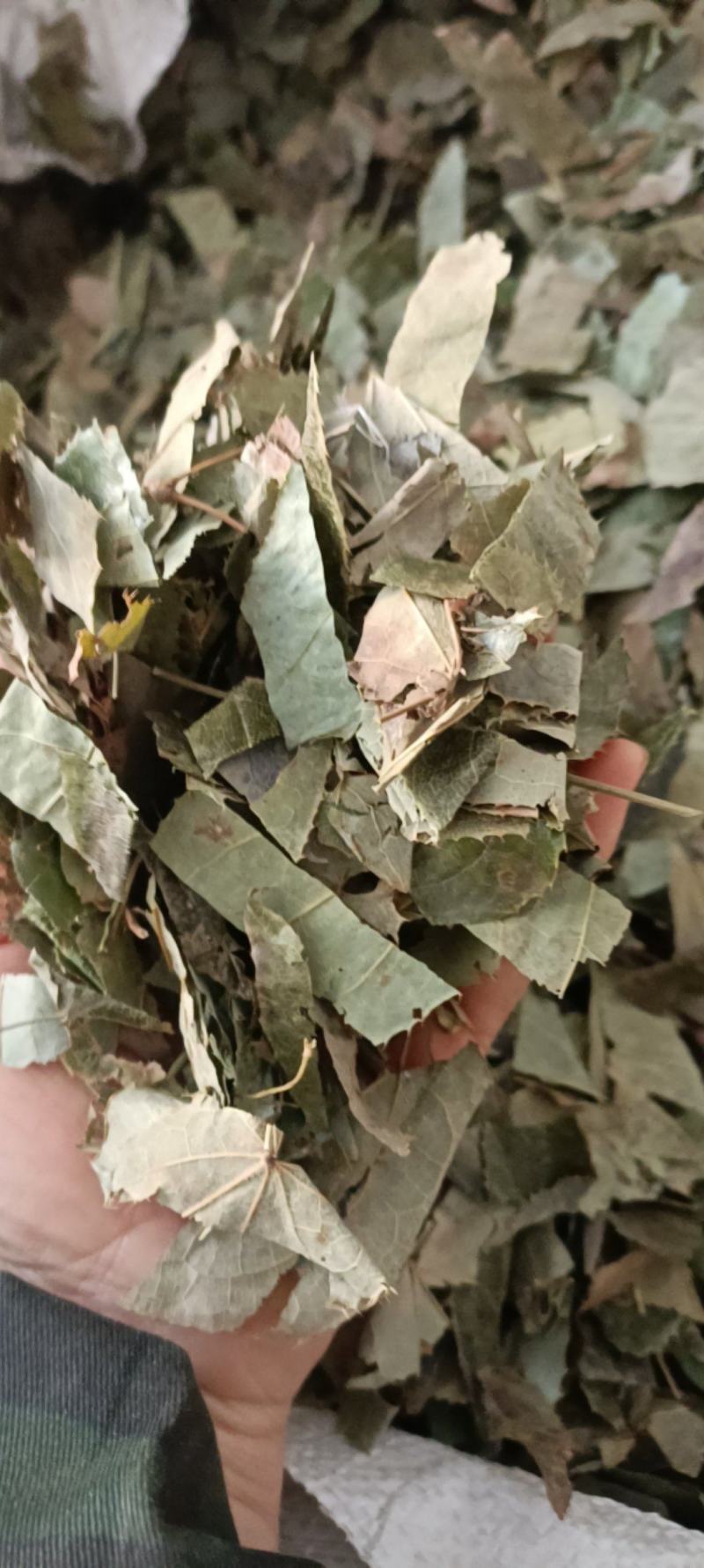 淫羊藿，产地甘肃，大货供应，全国发货欢迎各位选购