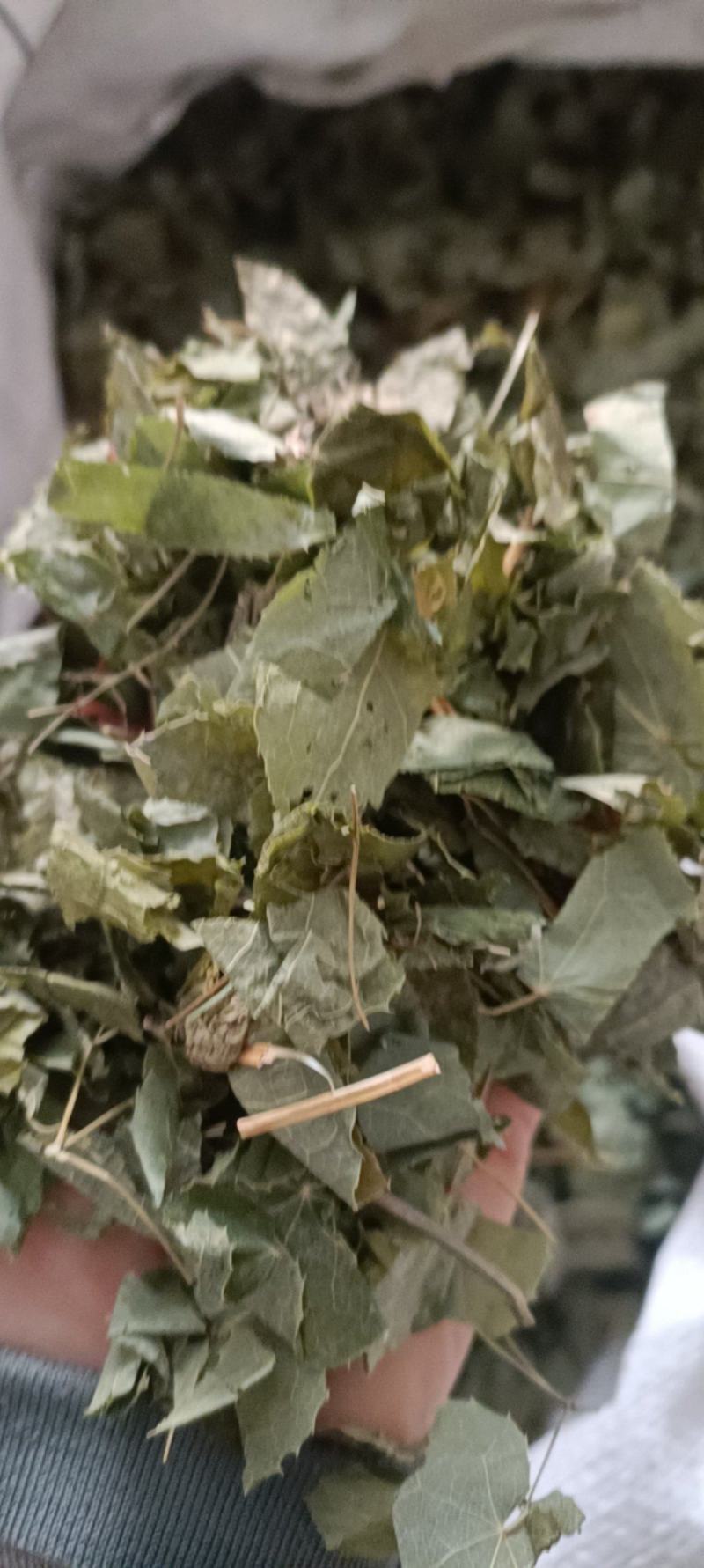 淫羊藿，产地甘肃，大货供应，全国发货欢迎各位选购