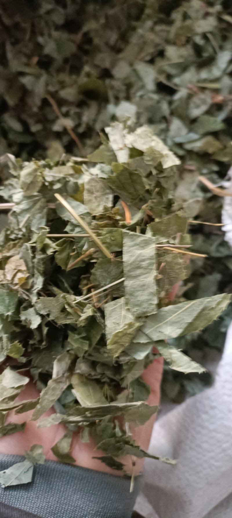 淫羊藿，产地甘肃，大货供应，全国发货欢迎各位选购