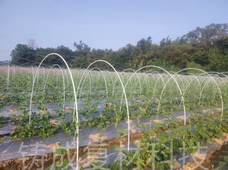 拱棚支架羊肚菌蔬菜育苗种植遮阳网