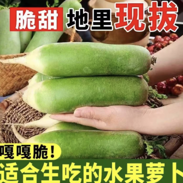 冰糖蜜萝卜