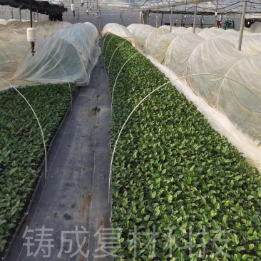 拱棚支架羊肚菌蔬菜育苗种植遮阳网
