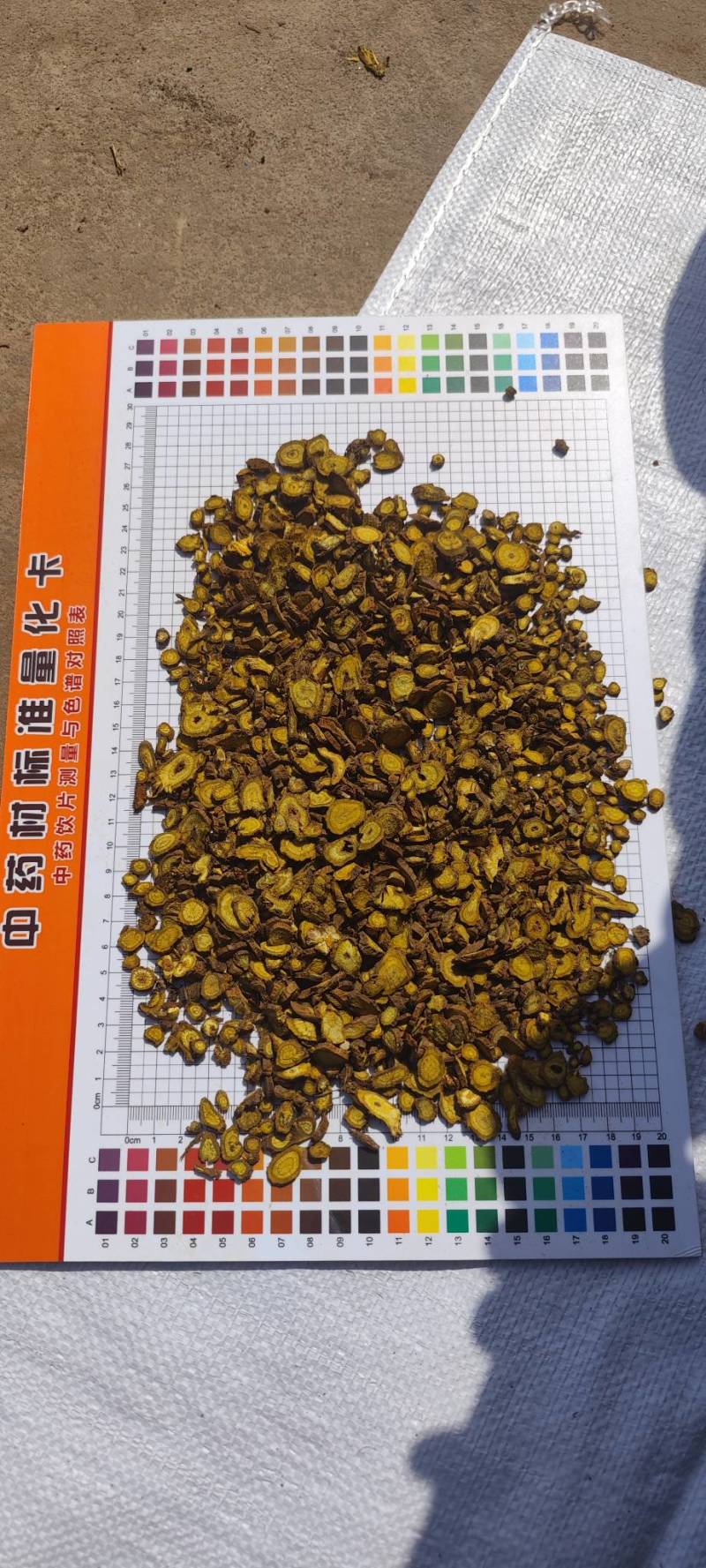 【精品黄芩片】产地直发量大从优一手货源欢迎联系