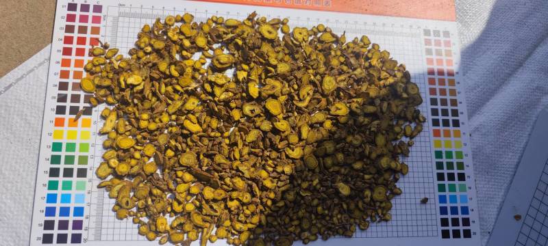 【精品黄芩片】产地直发量大从优一手货源欢迎联系