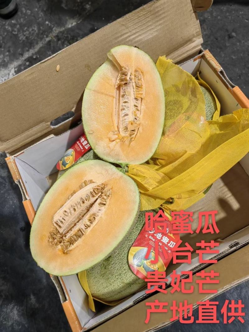 海南晓蜜25哈密瓜，产地直采直发，口感爽甜，一手货源