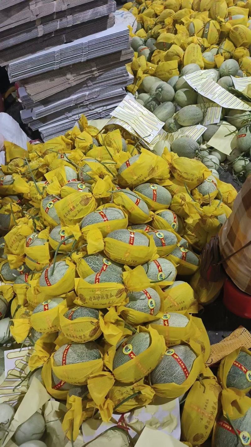海南晓蜜25哈密瓜，产地直采直发，口感爽甜，一手货源