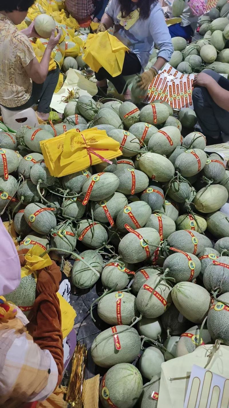 海南晓蜜25哈密瓜，产地直采直发，口感爽甜，一手货源