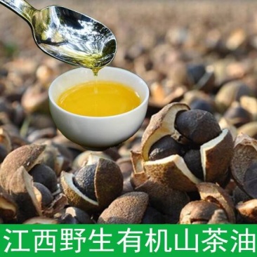 江西绿色茶仔油