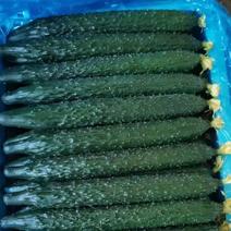 密刺黄瓜，量大，顶花带刺，条直，有需要的可以我
