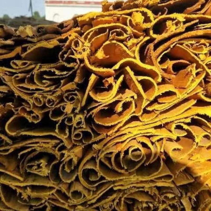 【精品】湖南黄柏双面黄个子双面黄丝黄柏带皮统丝