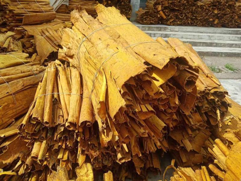 【精品】湖南黄柏双面黄个子双面黄丝黄柏带皮统丝
