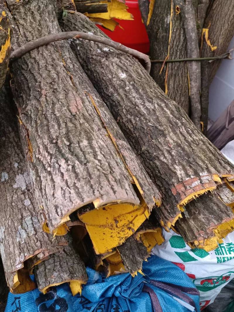 【精品】湖南黄柏双面黄个子双面黄丝黄柏带皮统丝