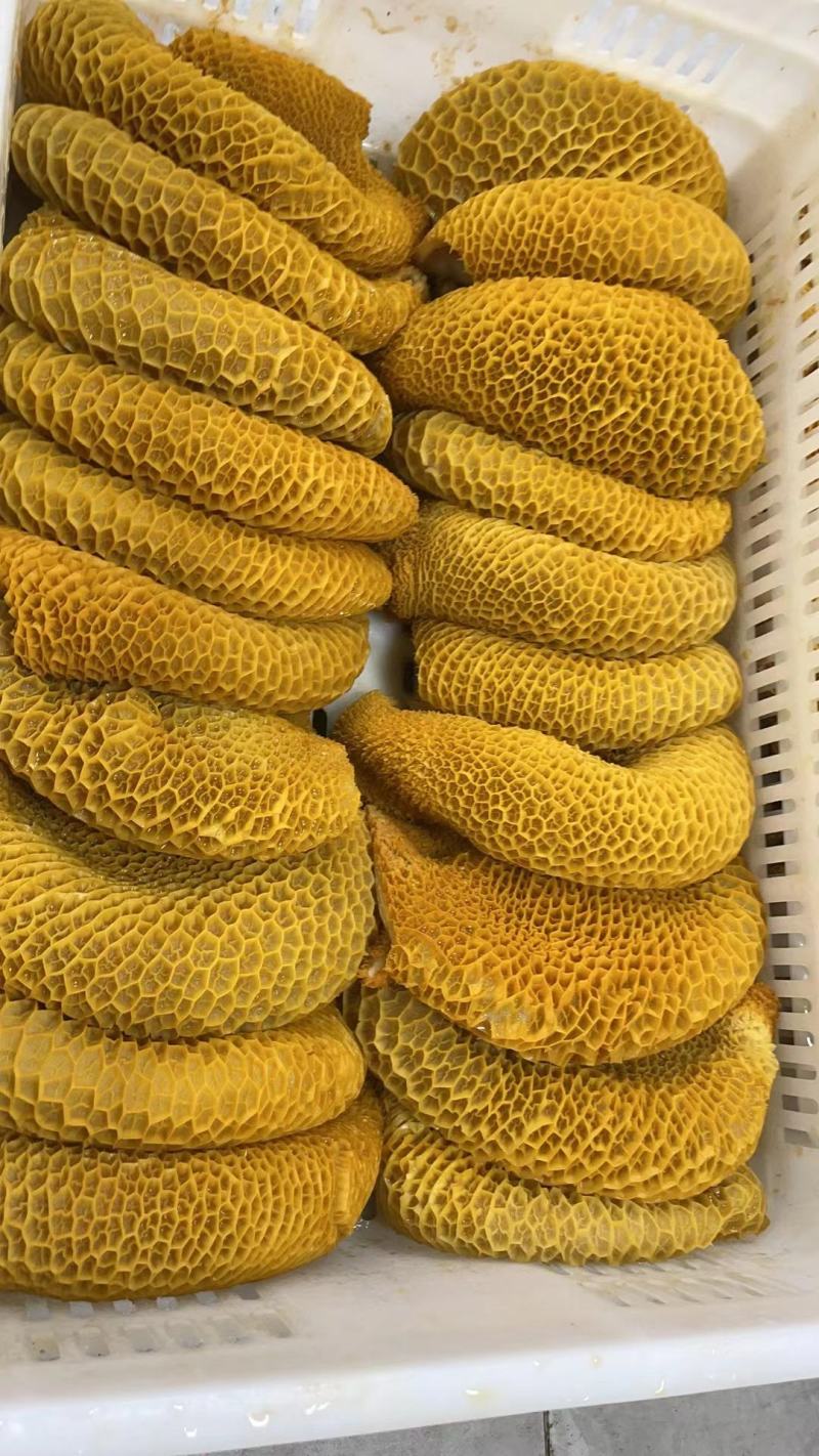熟牛肚批发牛副产品全金钱肚无水发厂家直发