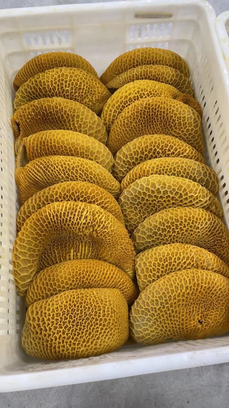熟牛肚批发牛副产品全金钱肚无水发厂家直发