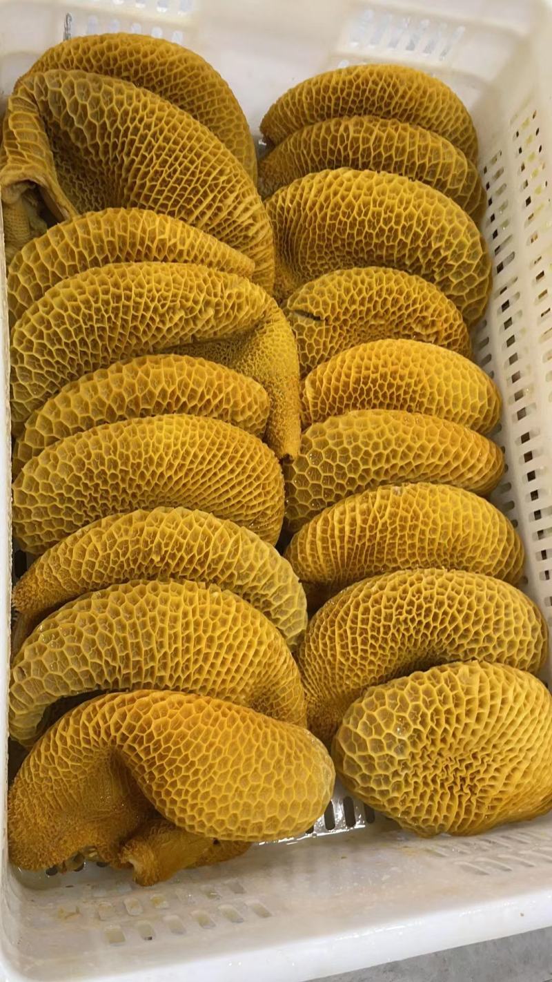 熟牛肚批发牛副产品全金钱肚无水发厂家直发
