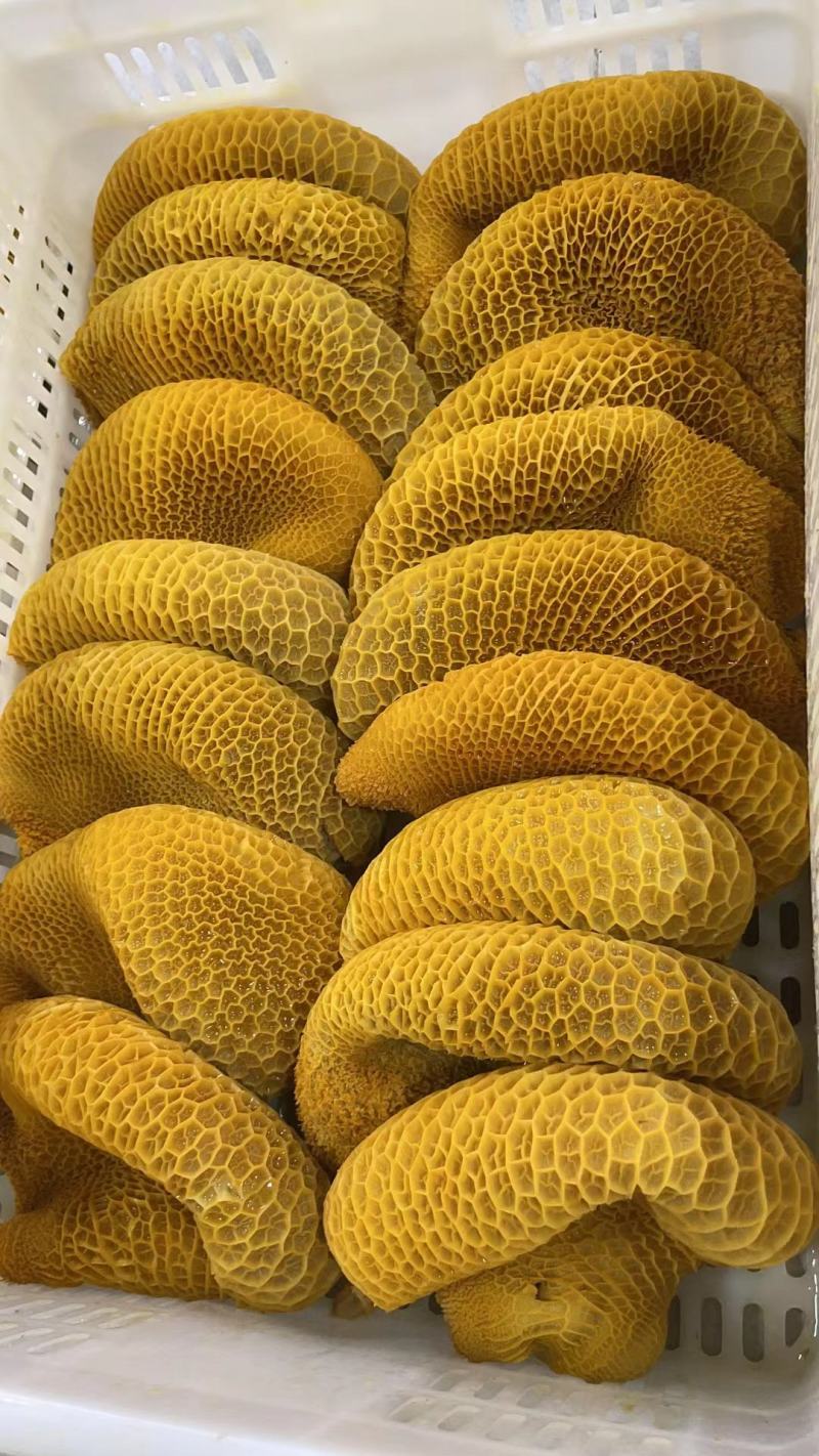 熟牛肚批发牛副产品全金钱肚无水发厂家直发