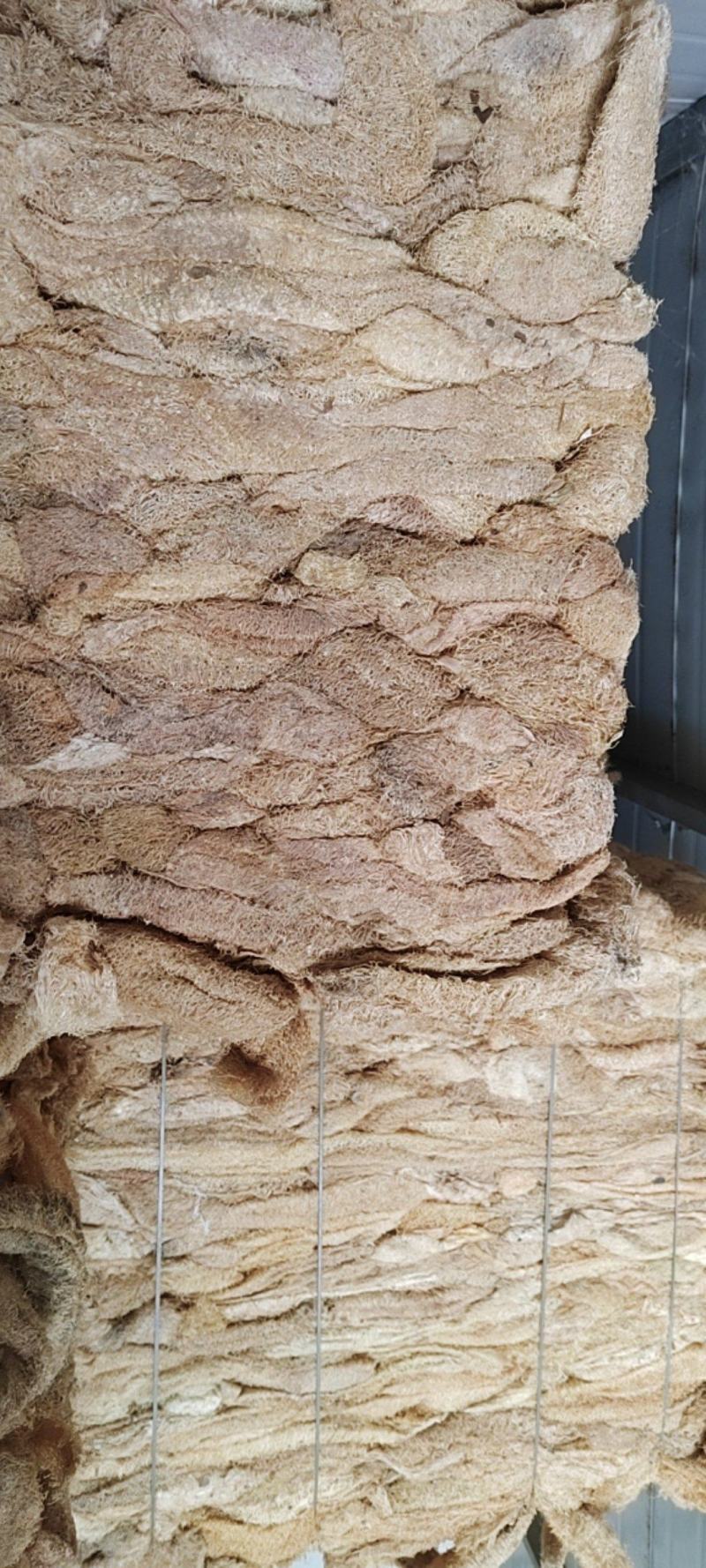徐州精品丝瓜烙，产地直发，保质保量，欢迎老板选购