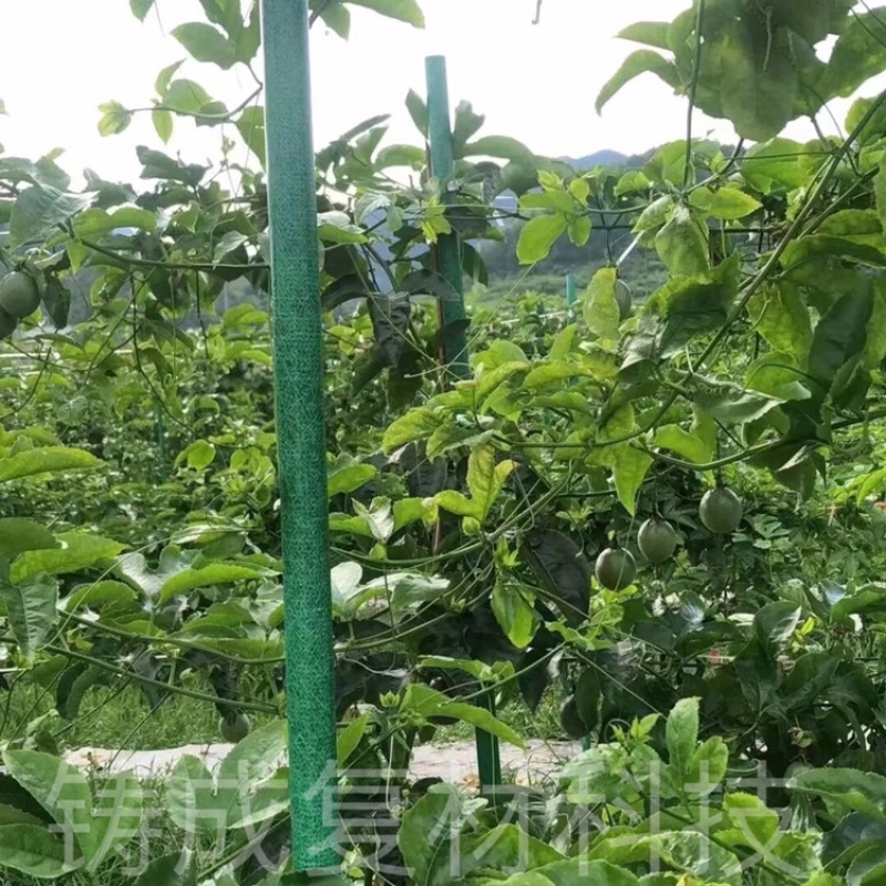 大棚拱棚百香果立柱拱棚立柱火龙果立柱