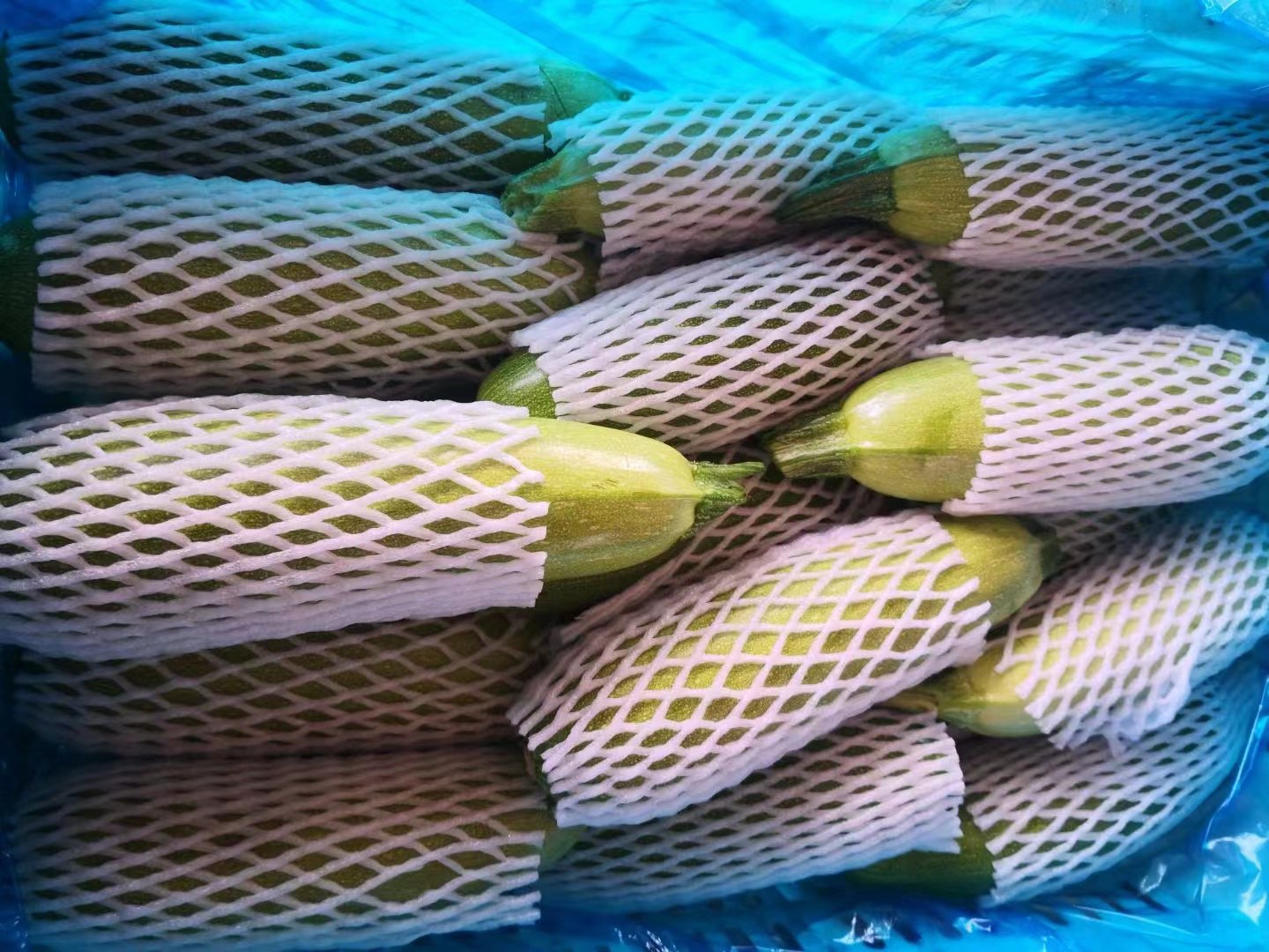 柱状图显示西葫芦、黄瓜、番茄、胡萝卜、土豆、玉米每100克的可利用碳水化合物含量对比,西葫芦柱最低,标注3.1g,其他依次升高,图表标题为‘常见蔬菜每100克碳水含量对比’,Y轴为碳水含量(克),X轴为蔬菜名称 西葫芦与其他常见蔬菜碳水含量对比图表