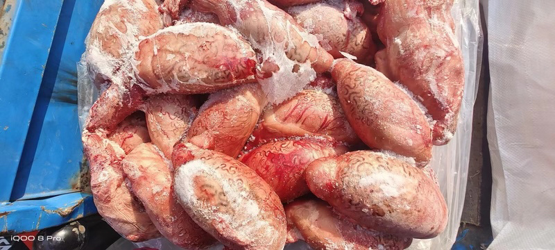 牛外腰牛宝牛蛋牛睾丸牛三宝货源充足对接各级客户