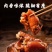 八珍酱卤猪蹄整箱批发商用熟食下酒菜即食卤猪脚