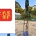 麦迪尔冰淇淋果苗白柿苗香甜抗寒易管理