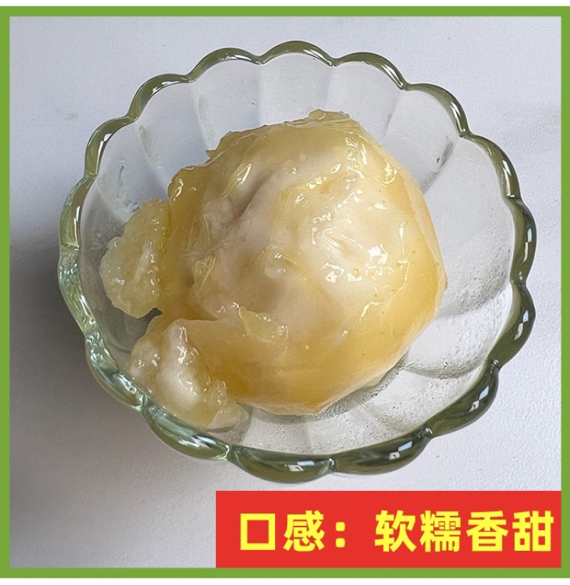 麦迪尔冰淇淋果苗白柿苗香甜抗寒易管理