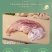 包邮精品猪肚整箱20斤商用批发整只半成品烹饪食用卤味熟食