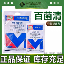百农思达百菌清75%可湿性粉剂蓝粉黄瓜霜霉病预防杀菌剂
