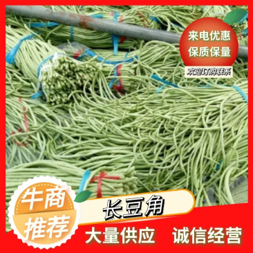 长豆角（15厘米以上）基地直供量大从优欢迎咨询