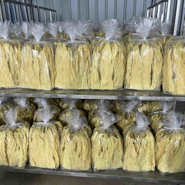 炸腐竹炸竹色泽好质量高十斤一箱两包每包5斤