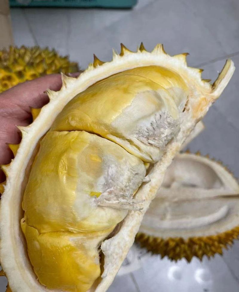 金枕榴莲