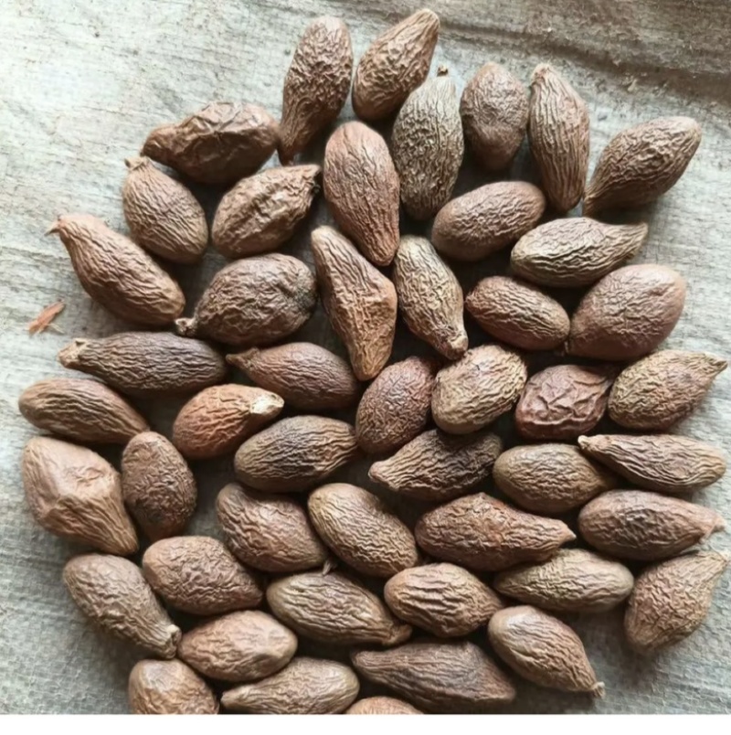 胖大海泡水散装搭甘草罗汉果金银花菊花茶炎咽茶组合凉茶