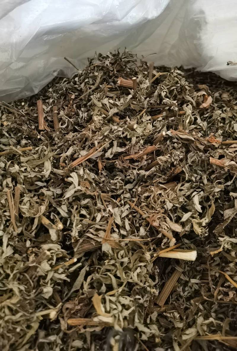 野生艾草