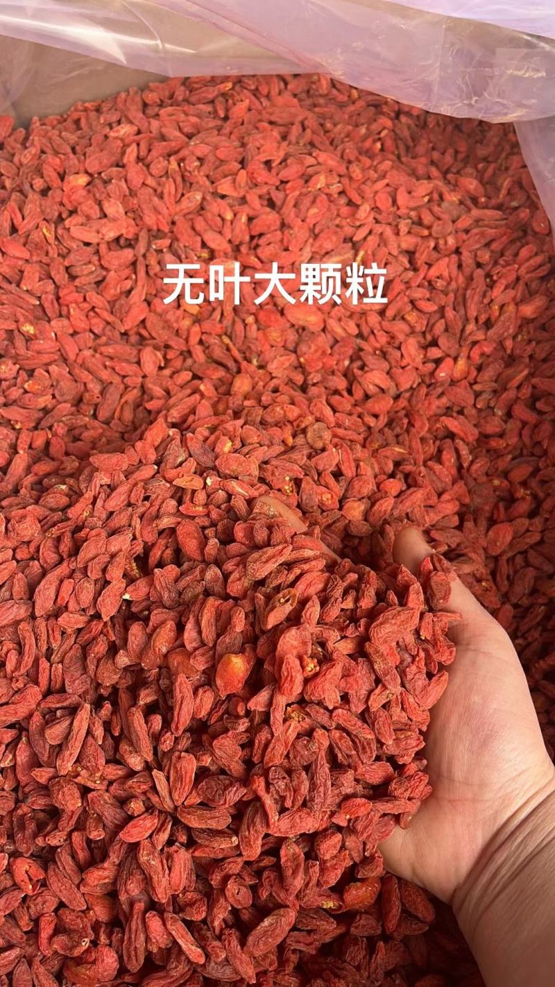 枸杞无叶大枸杞油货枸杞宁夏枸杞地摊跑江湖展会