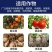 特种叶面肥-葡萄糖钛增加光合作用提高抗病保果增产