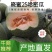 精品晓蜜25哈密瓜,产地直供,大量上市,专业代办,