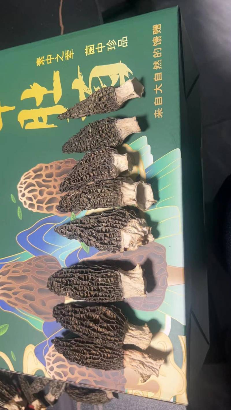 羊肚菌产地直销千余个个大棚支持供应。