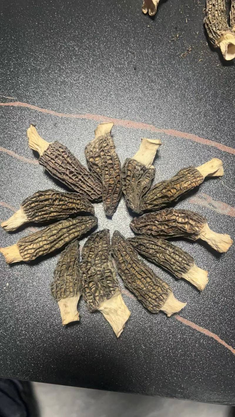 羊肚菌产地直销千余个个大棚支持供应。