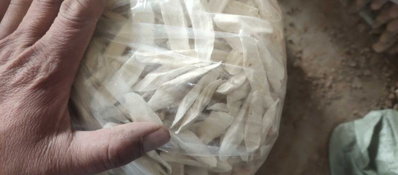 温县正宗垆土铁棍山药片，一件代发，手工切片，自然晾晒而成