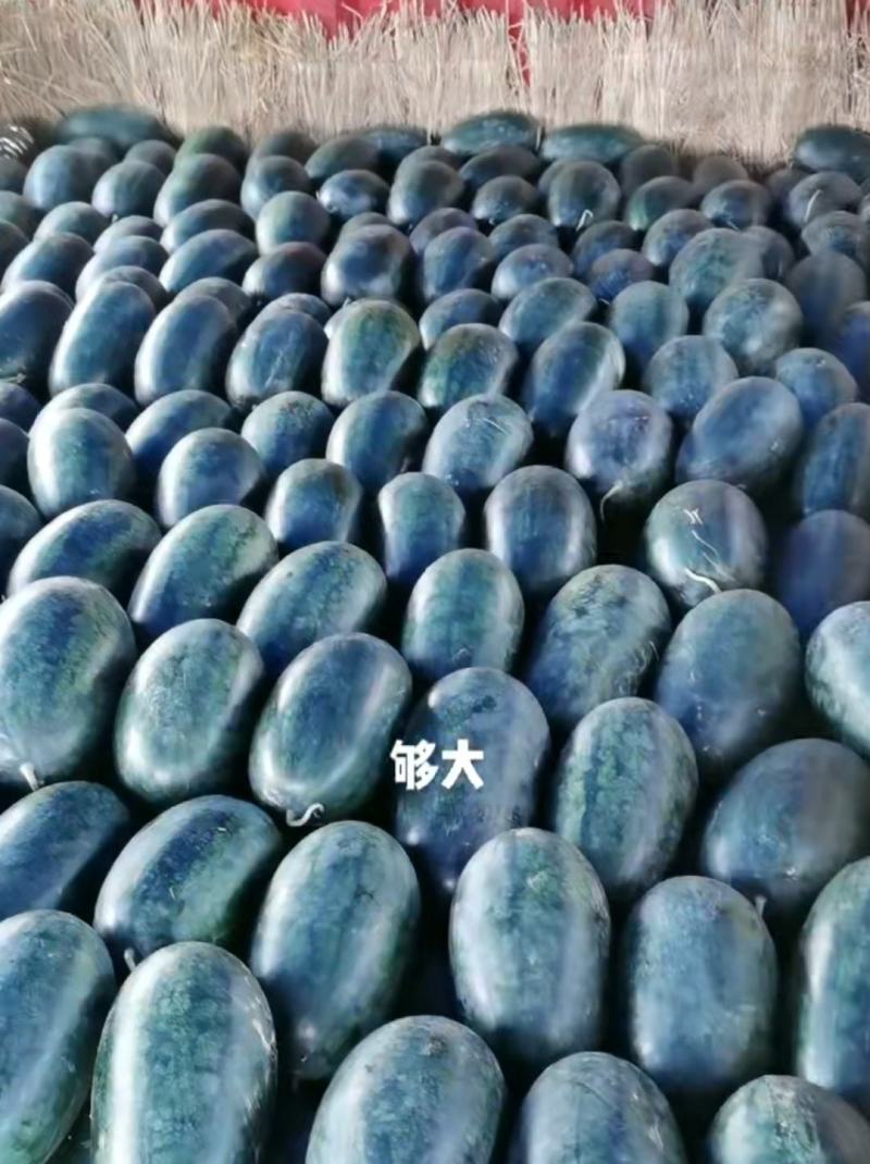 广西黑美人口感好质量保证，货源充足，欢迎下单