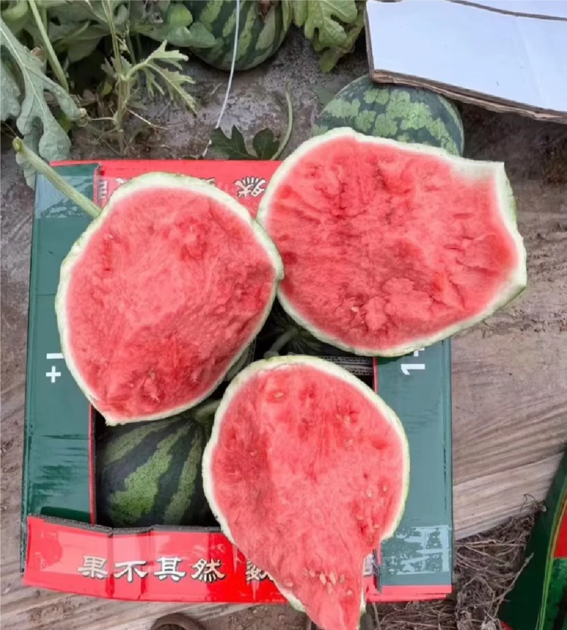 广东产区，优质麒整车代发全国，市场，电商，商超，质量保证