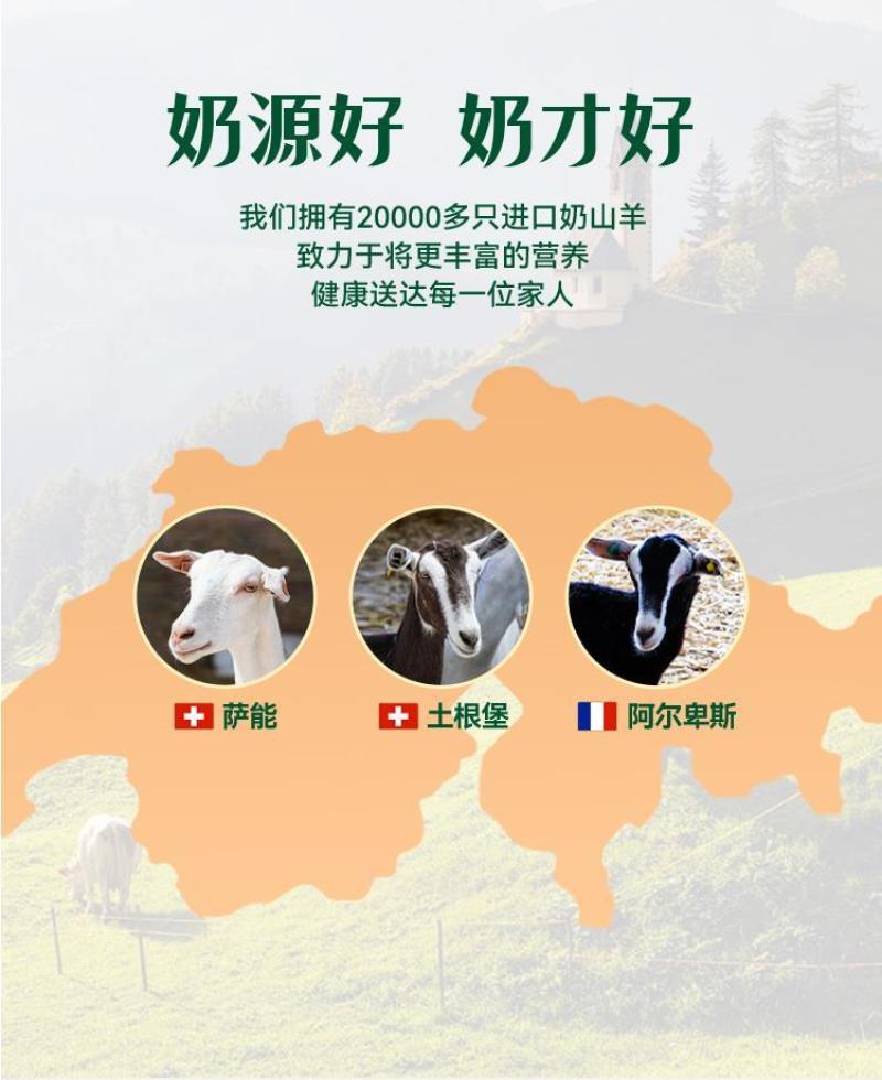 巴氏杀菌热处理风味酸羊奶，一手货源，厂家直销