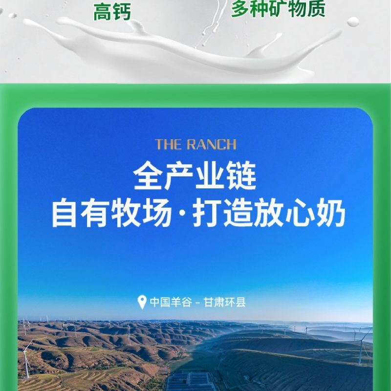 巴氏杀菌热处理风味酸羊奶，一手货源，厂家直销