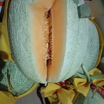海南小蜜25