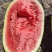 宁夏中卫硒砂瓜金城5号石头瓜产地直供欢迎全国客户一手货源